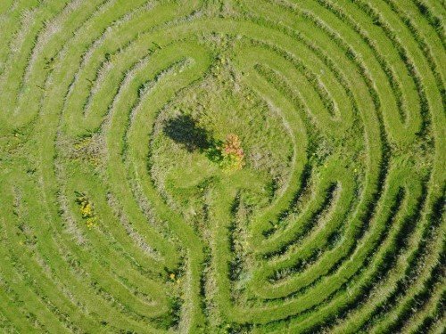 How Everything on Earth Is Connected