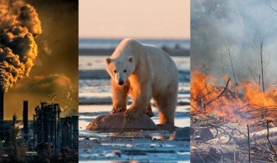 Global Warming Causes, Effects, Solutions